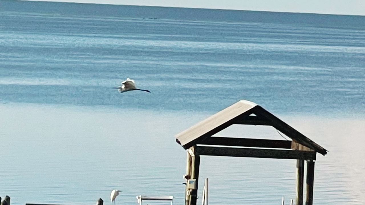 Photo of Others in Carrabelle
