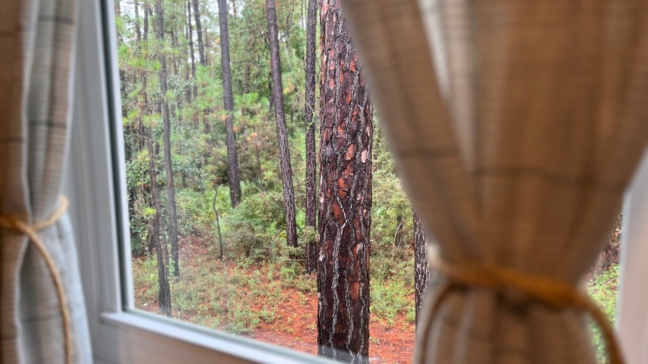 Photo of Others in Dauphin Island