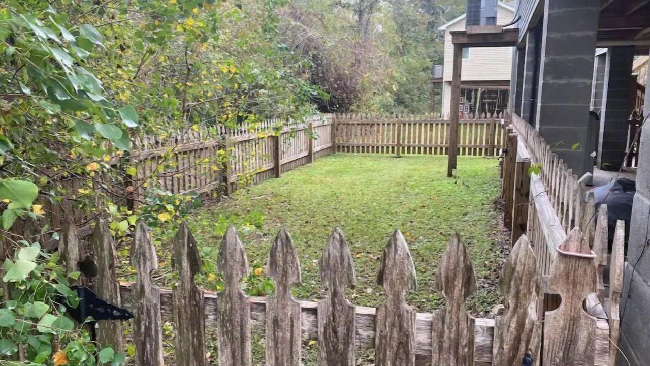 Photo of Others in Talisheek