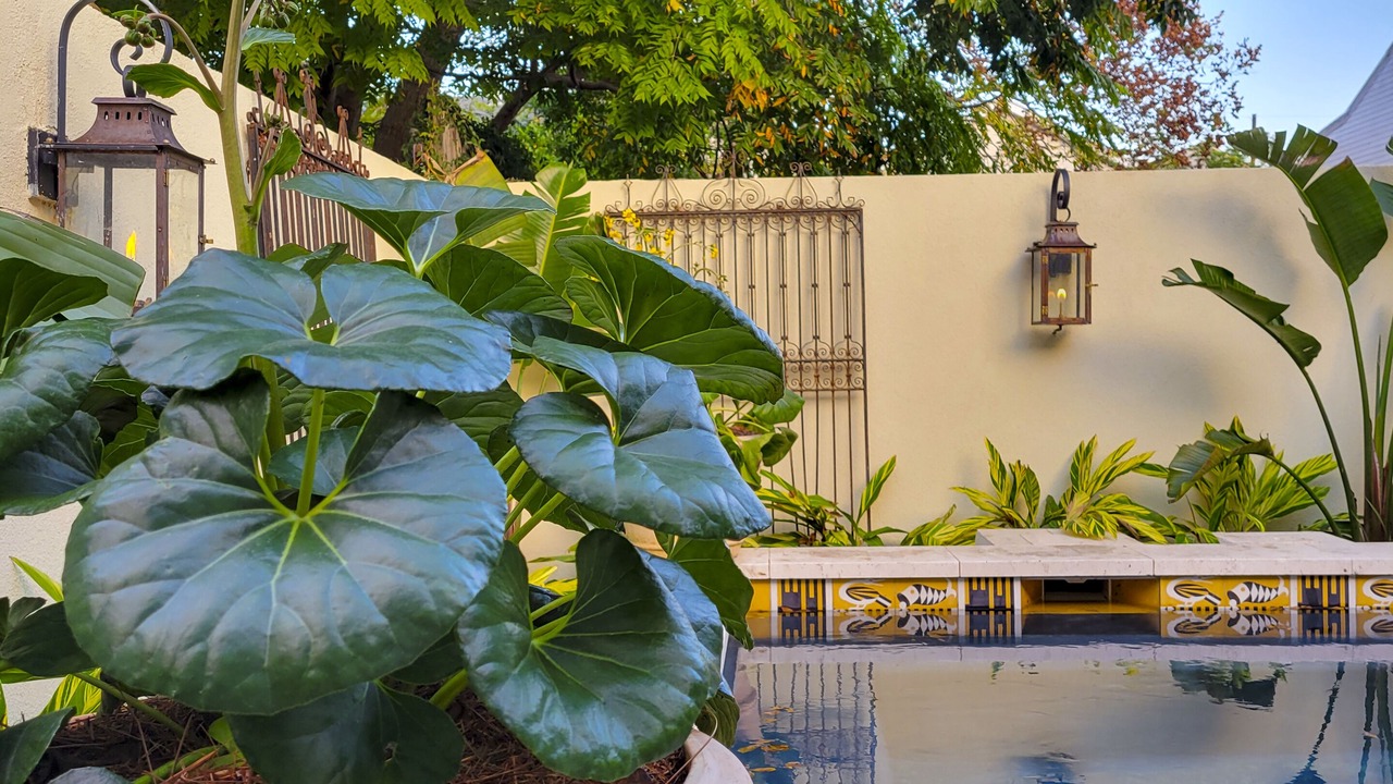 Photo of Outdoor in Faubourg Marigny