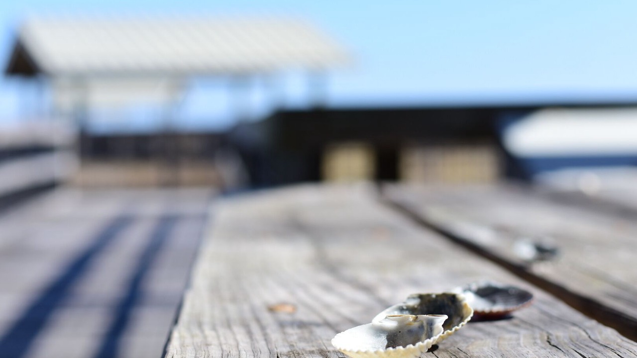 Photo of Outdoor in Ono Island