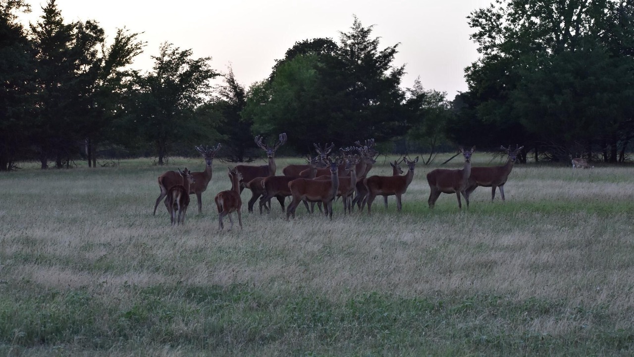 Photo of Outdoor in Emory