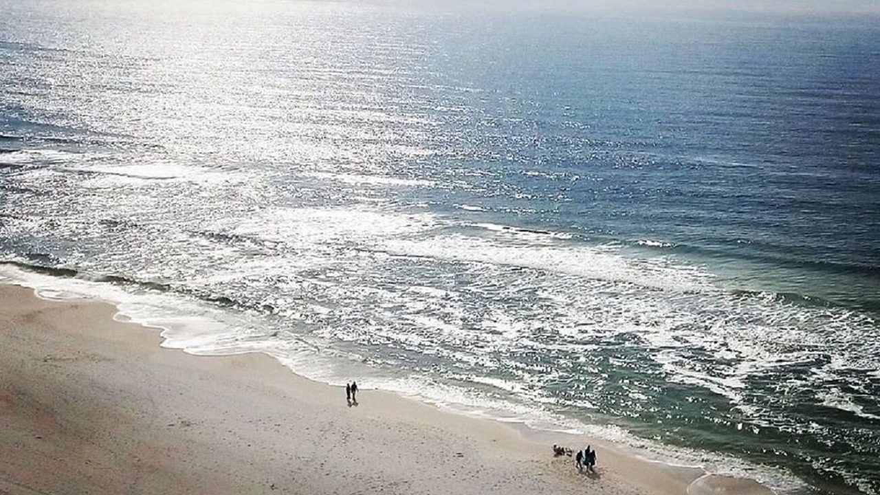 Photo of Others in Panama City Beach