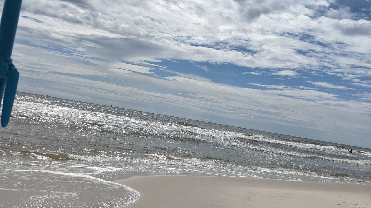 Photo of Others in Dauphin Island