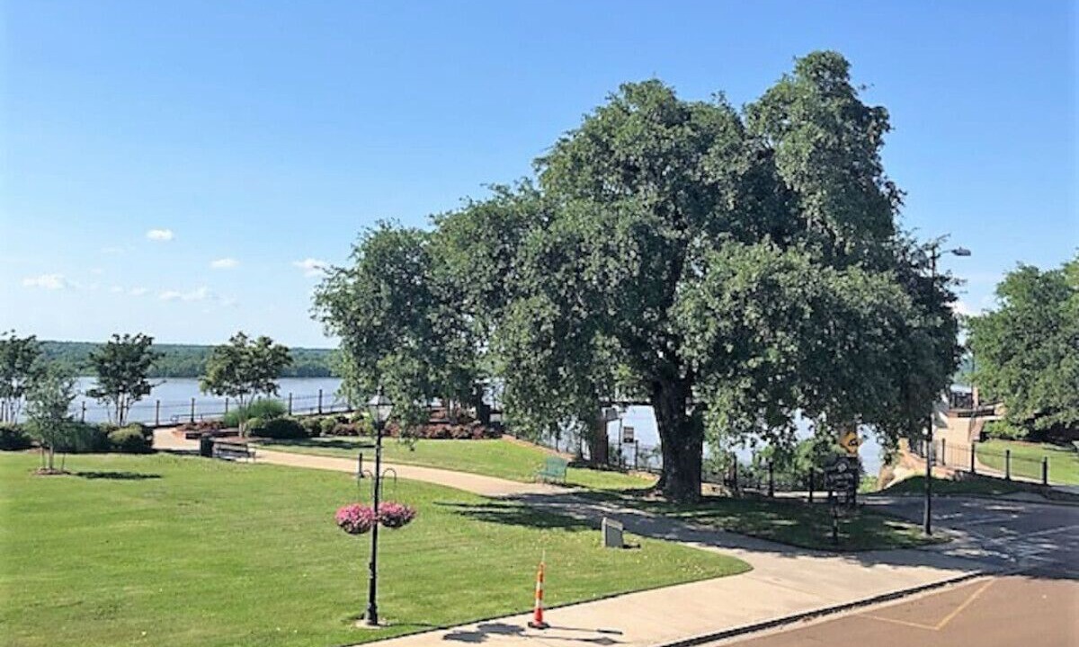 Photo of Others in Natchez
