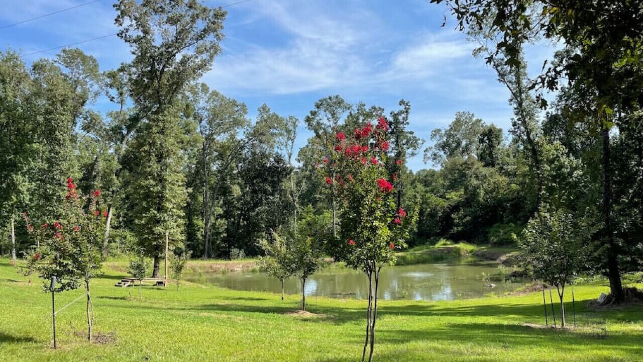 Photo of Outdoor in Natchez