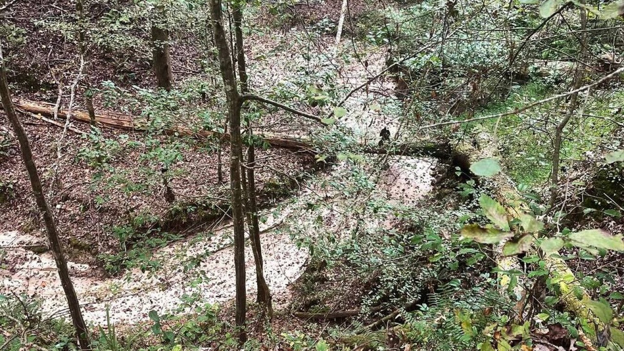 Photo of Outdoor in Natchez