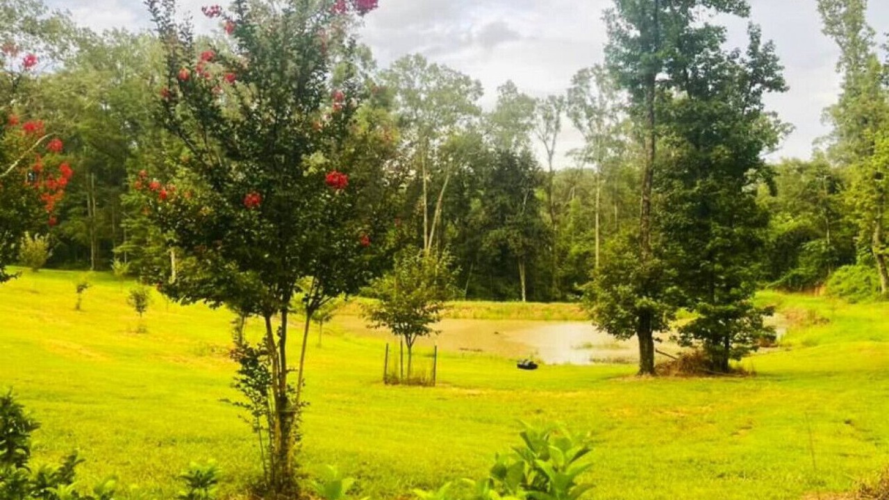 Photo of Outdoor in Natchez