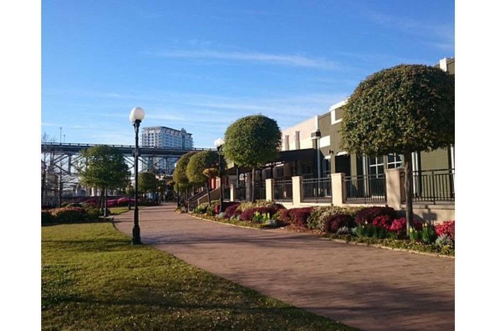 Photo of Others in Bossier City
