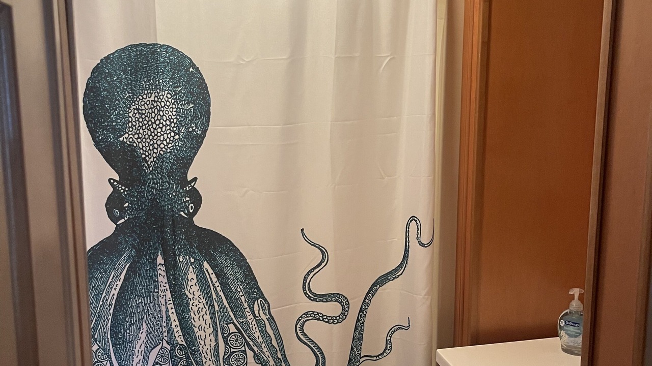 Photo of Bathroom in Key West