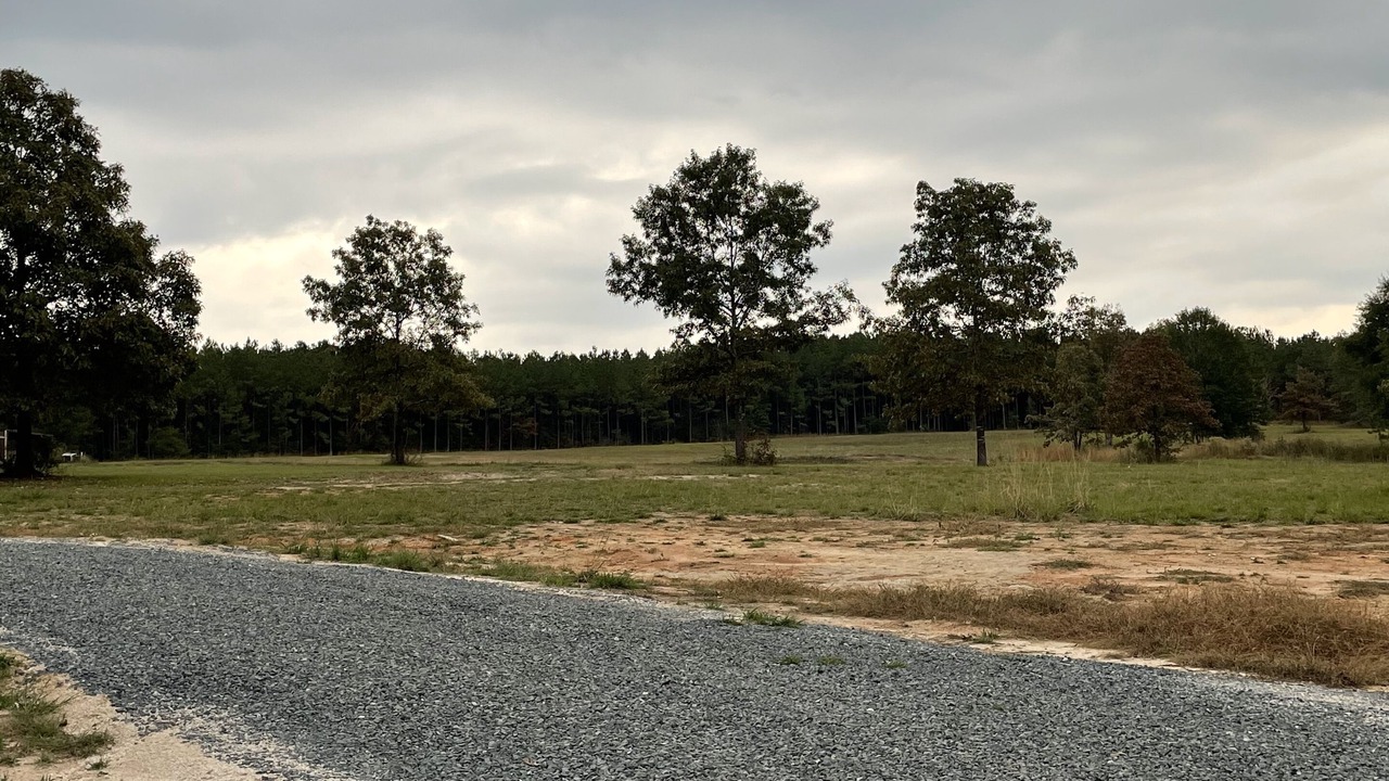 Photo of Others in Leesville