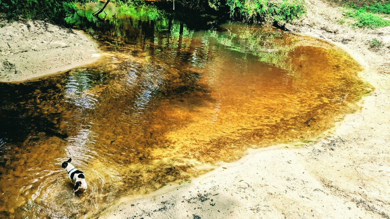 Photo of Outdoor in Covington