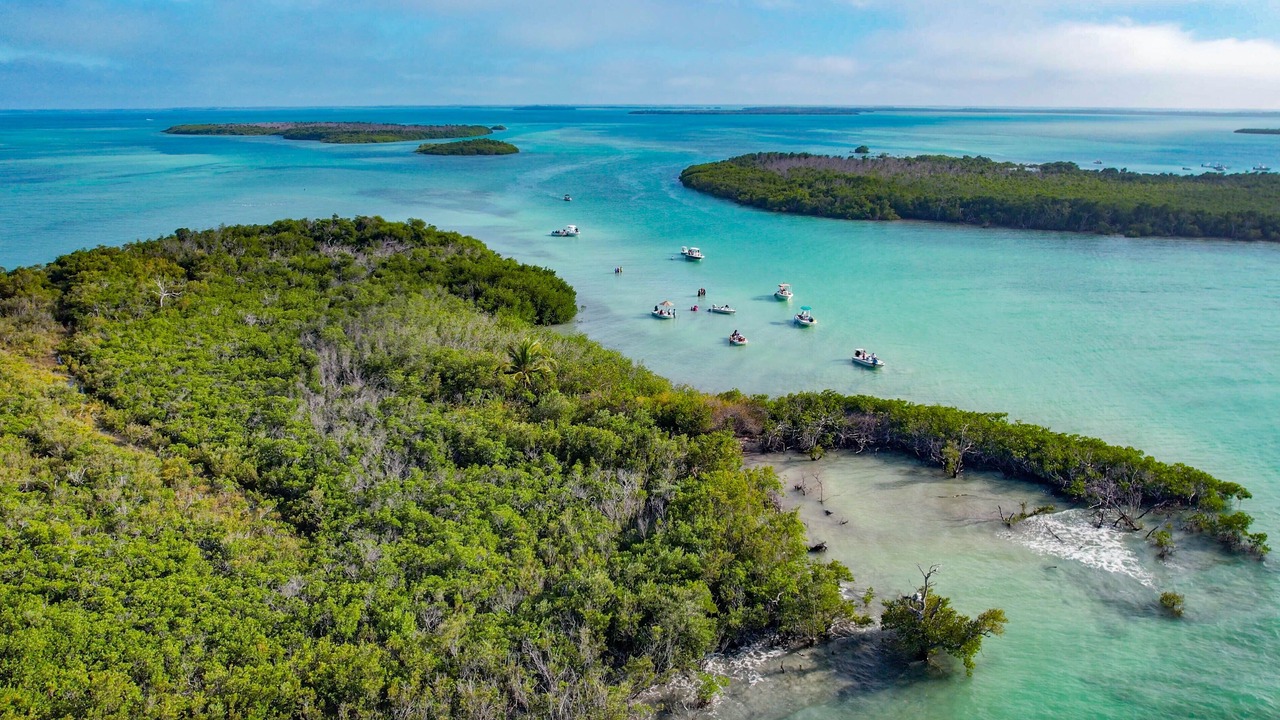 Photo of Others in Sugarloaf Key