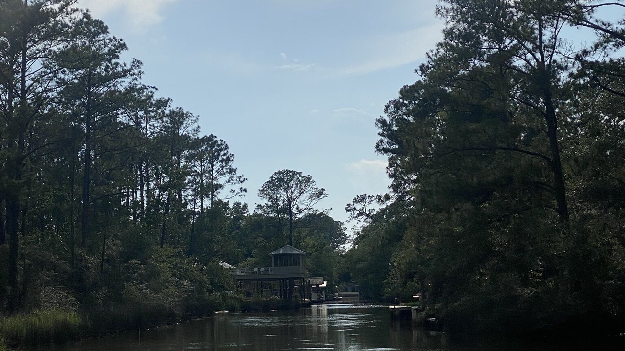 Photo of Outdoor in Fairhope