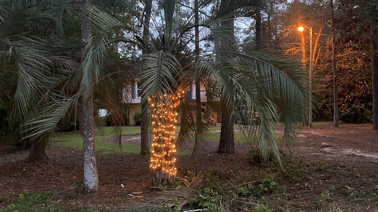 Photo of Outdoor in Fairhope