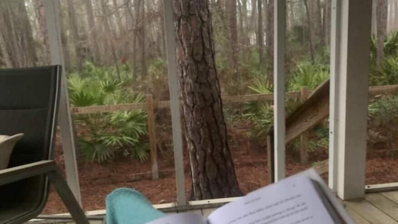 Photo of Others in Dauphin Island