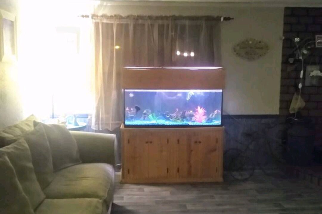 Photo of Livingroom in Milton