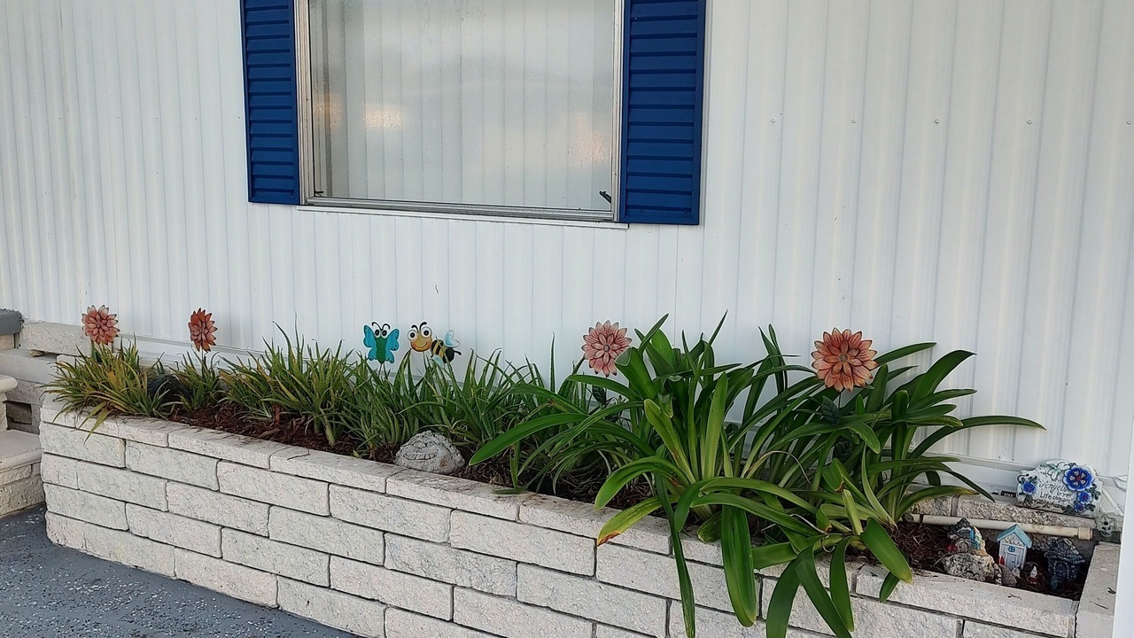 Photo of Outdoor in Betmar Acres