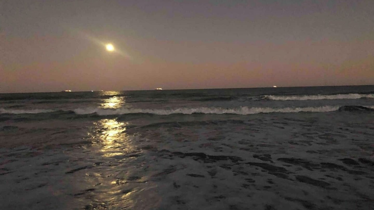 Photo of Others in Cocoa Beach