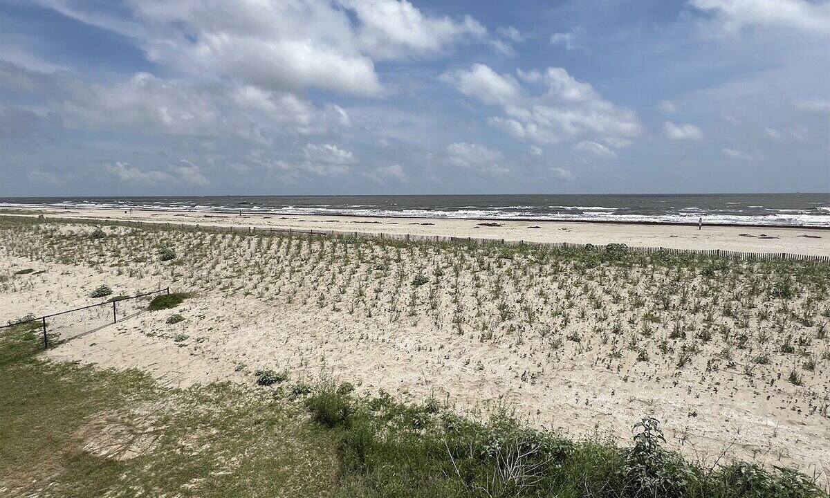 Photo of Others in Grand Isle