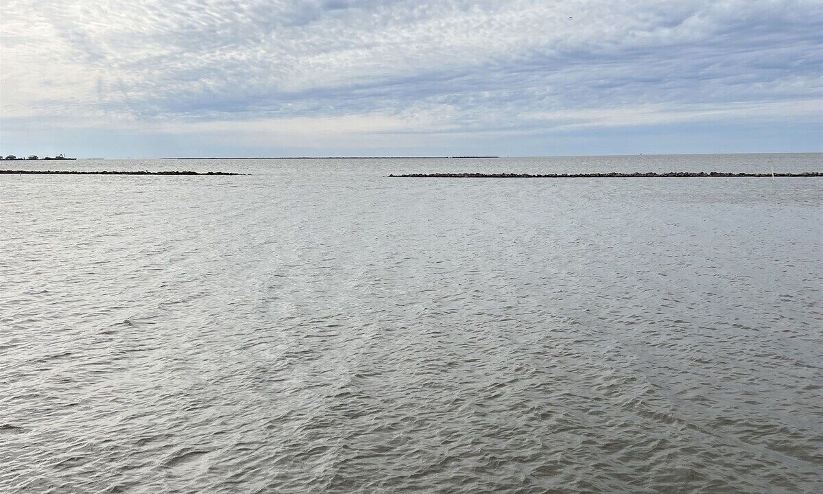 Photo of Others in Grand Isle