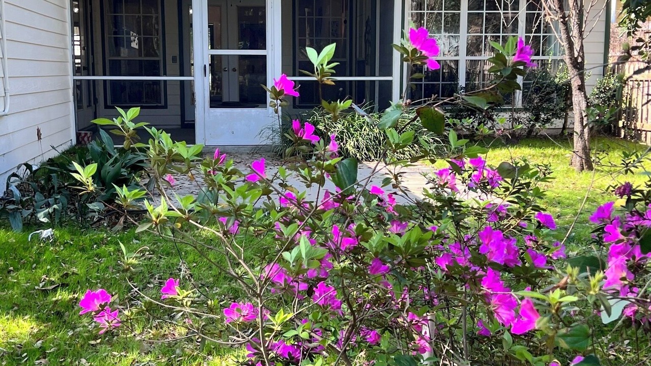 Photo of Outdoor in Tallahassee