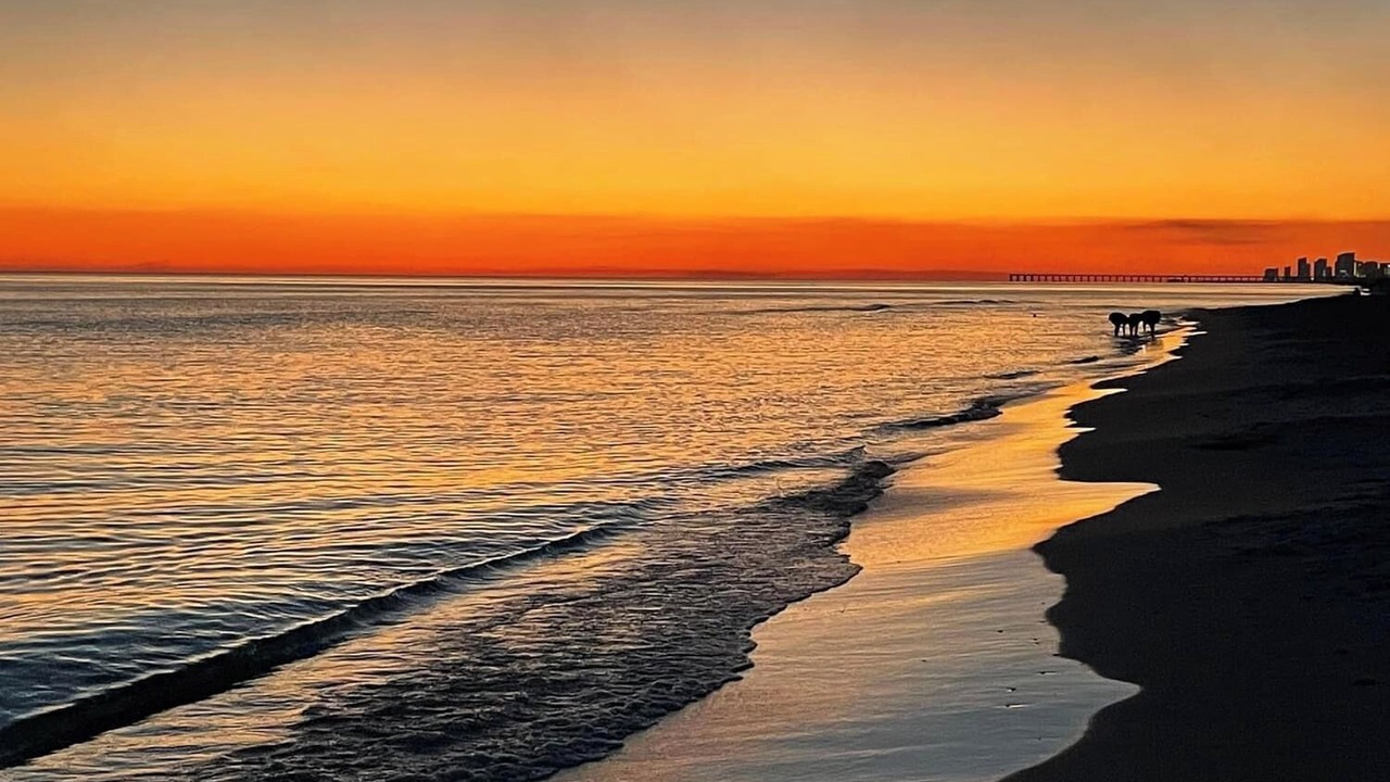 Photo of Others in Gulf Place