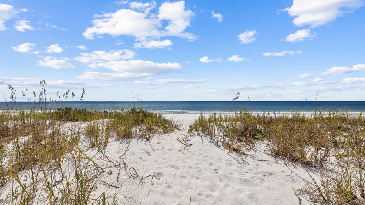 Photo of Others in Mexico Beach