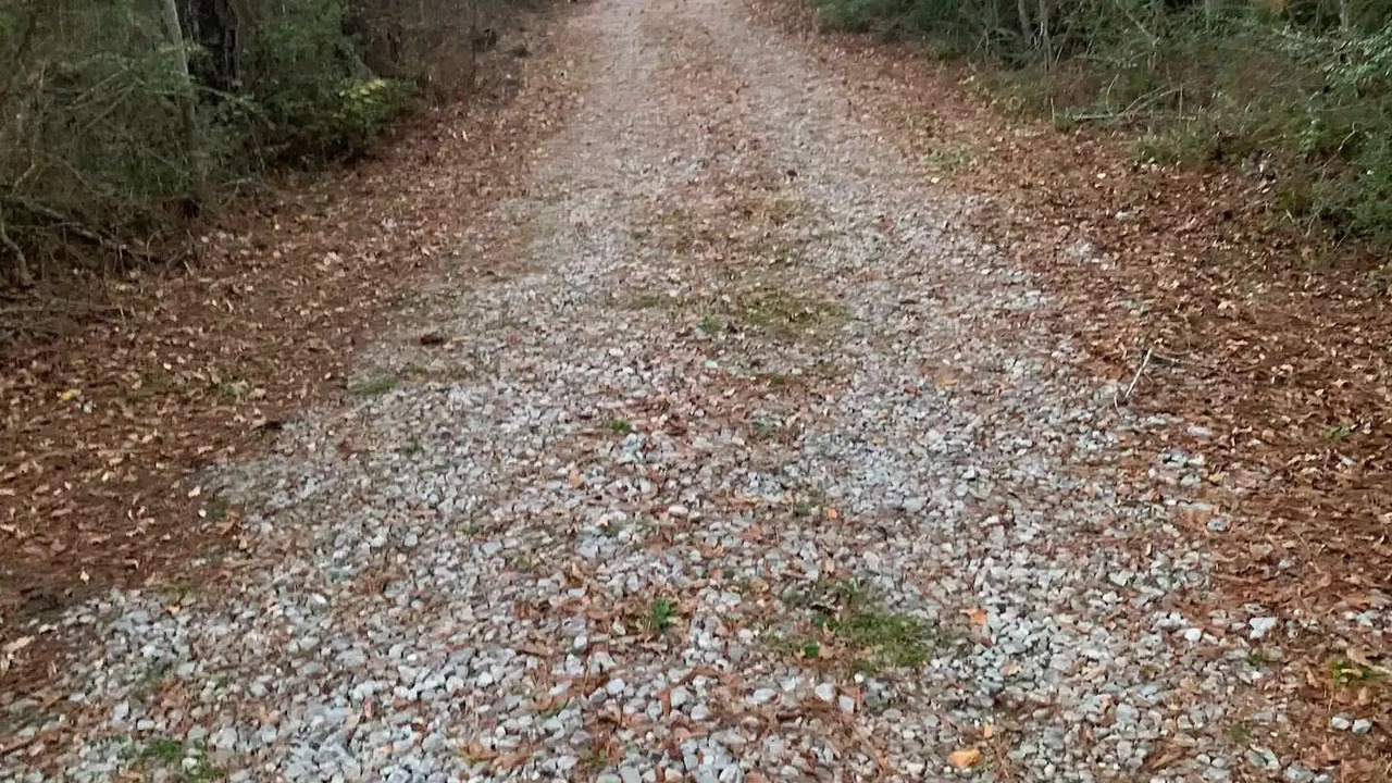 Photo of Outdoor in Slidell
