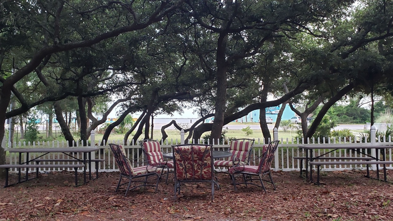 Photo of Outdoor in Leeward