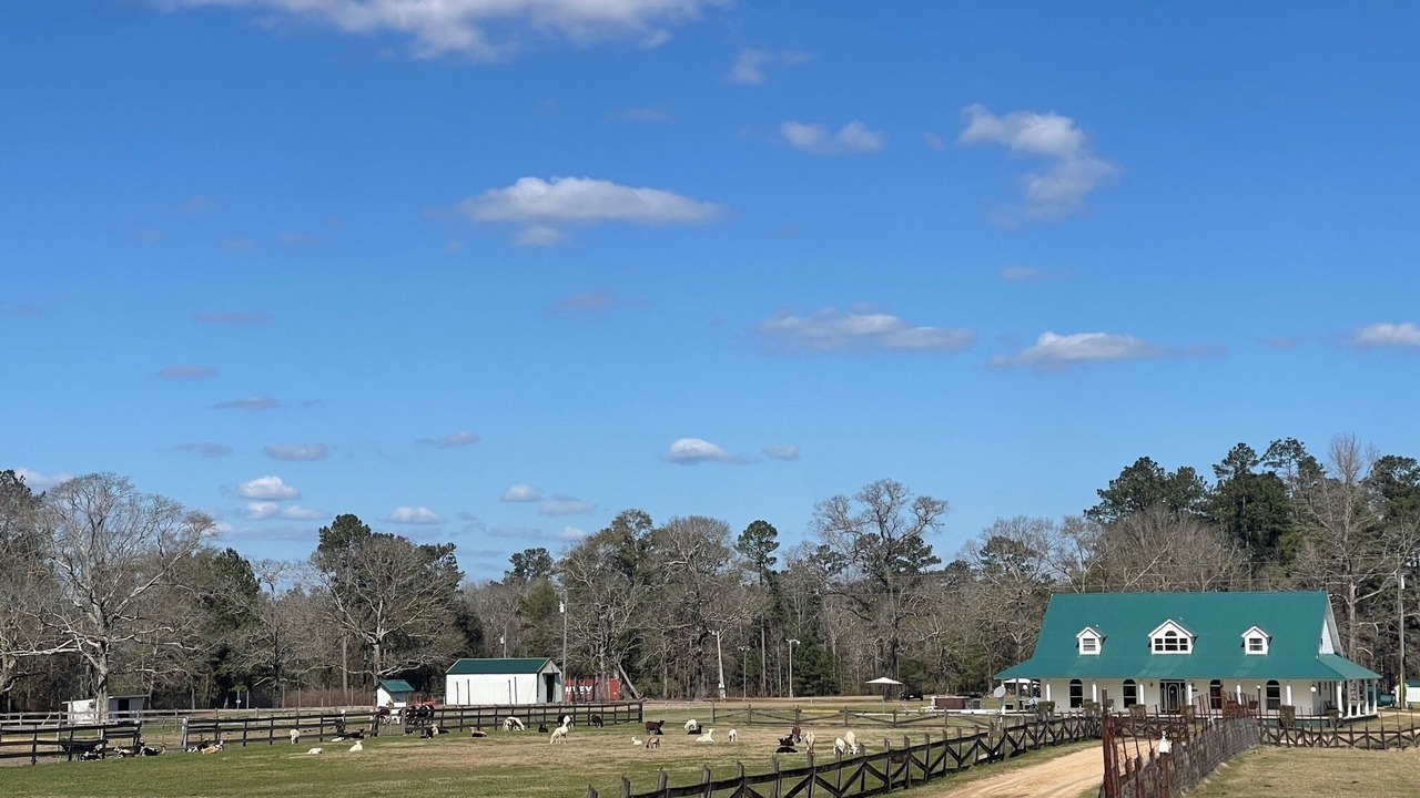 Photo of Outdoor in Perkinston