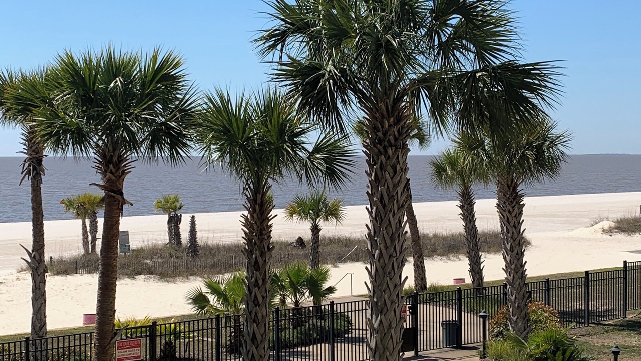 Photo of Others in Henderson Point