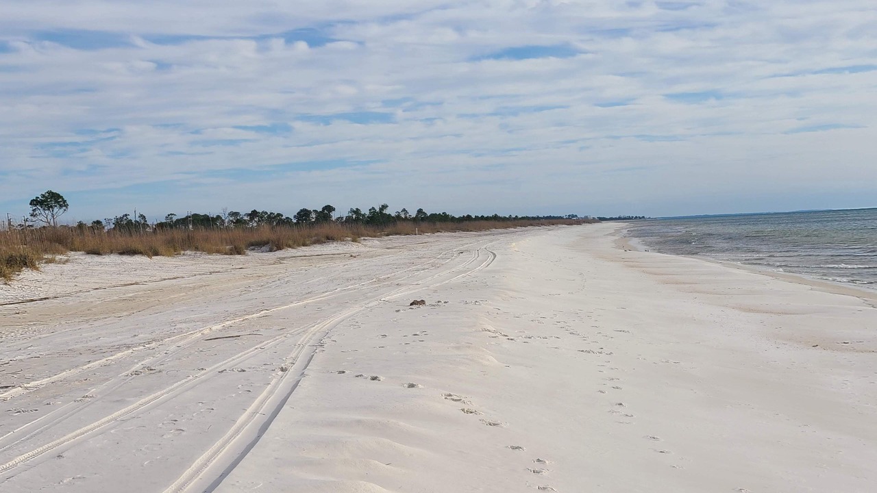 Photo of Others in Port St. Joe