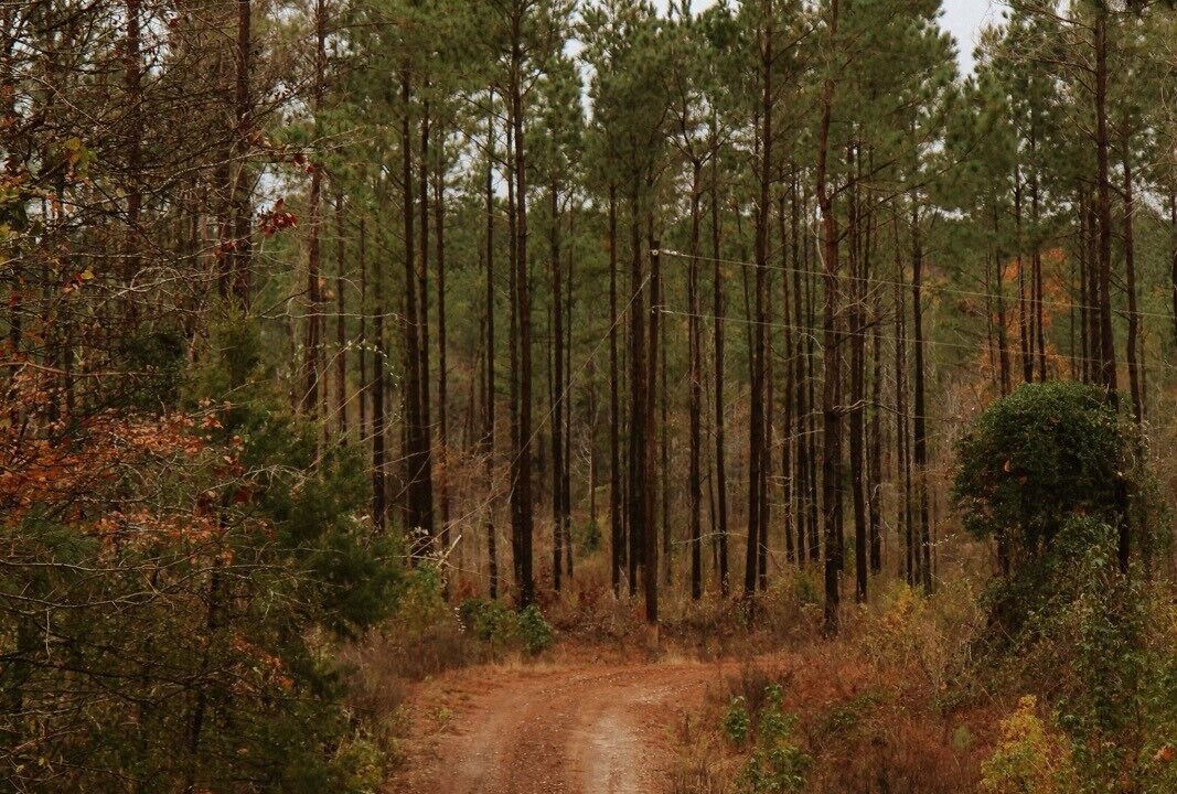 Photo of Others in Gilmer