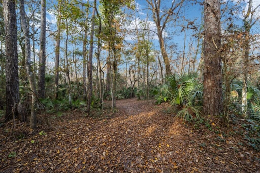 Photo of Outdoor in Edgar