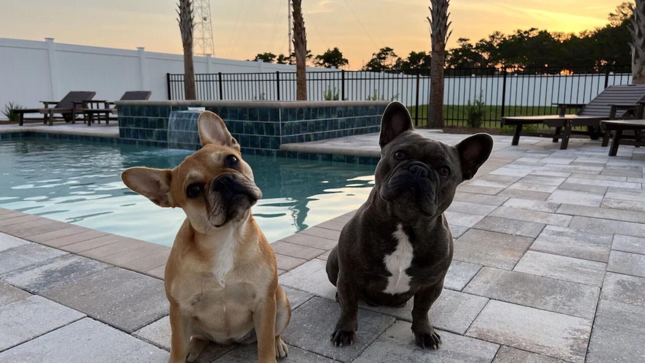 Photo of Others in Laguna Beach