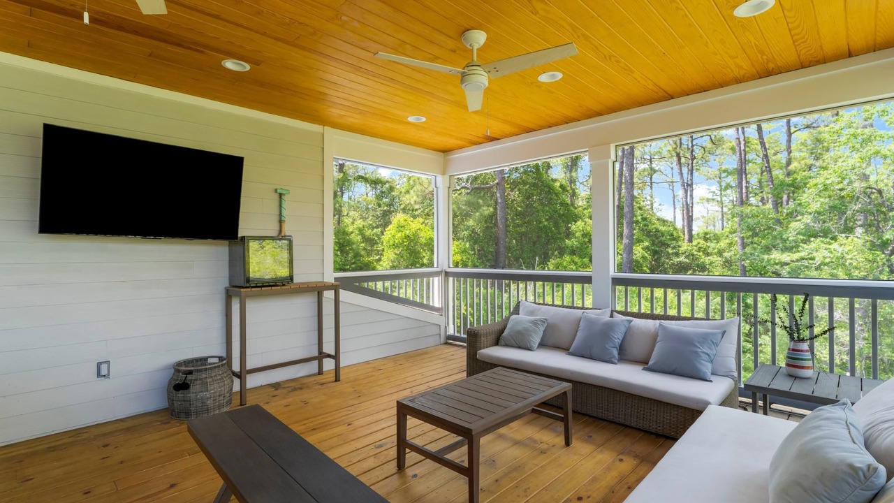 Photo of Outdoor in Treetop