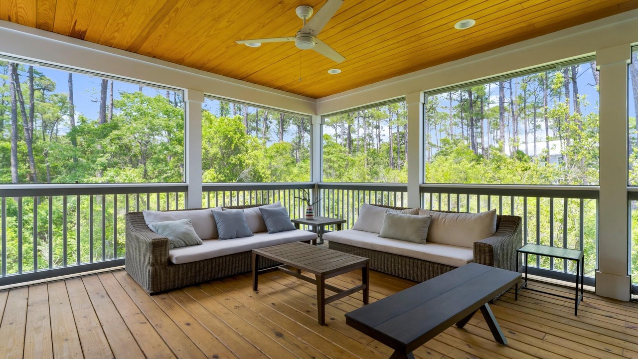 Photo of Outdoor in Treetop
