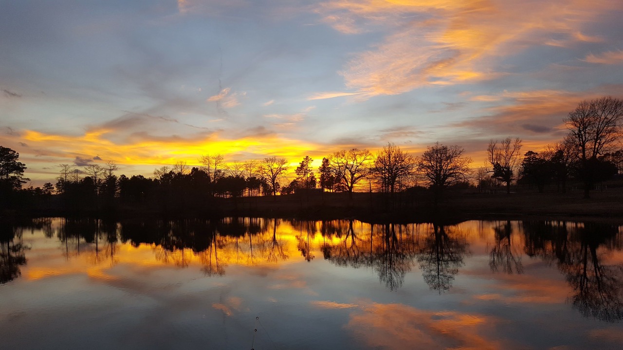 Photo of Outdoor in Gilmer