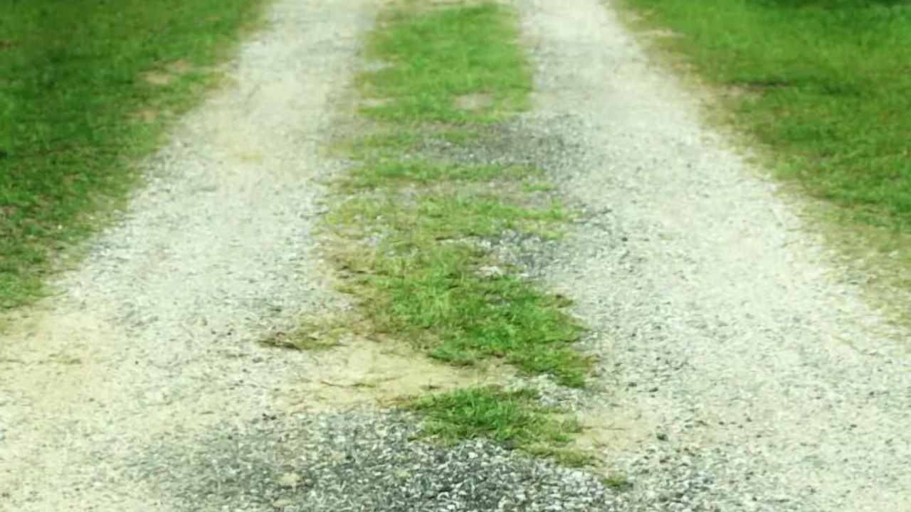 Photo of Others in Loxley
