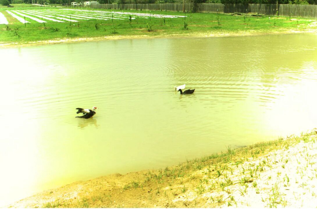 Photo of Outdoor in Loxley