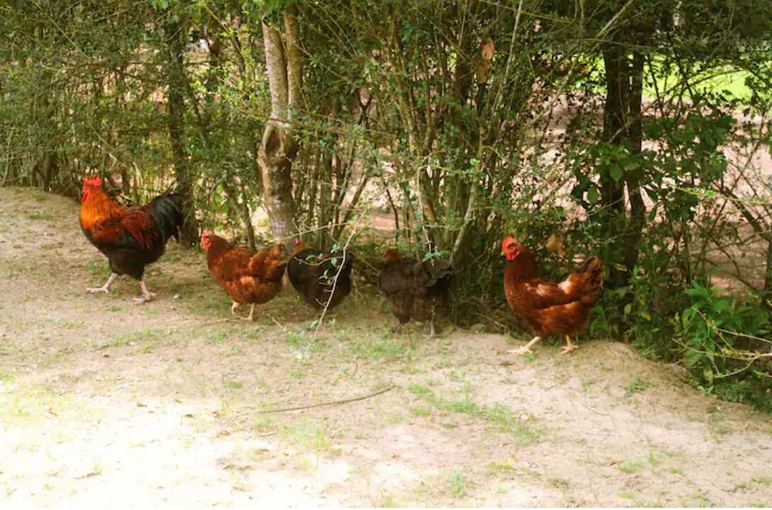 Photo of Outdoor in Loxley