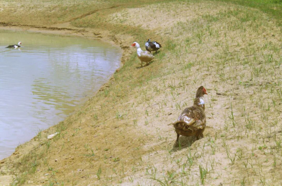 Photo of Others in Loxley