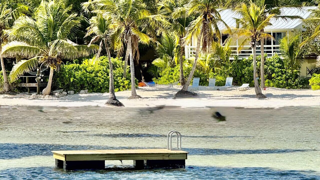 Photo of Others in Sugarloaf Key