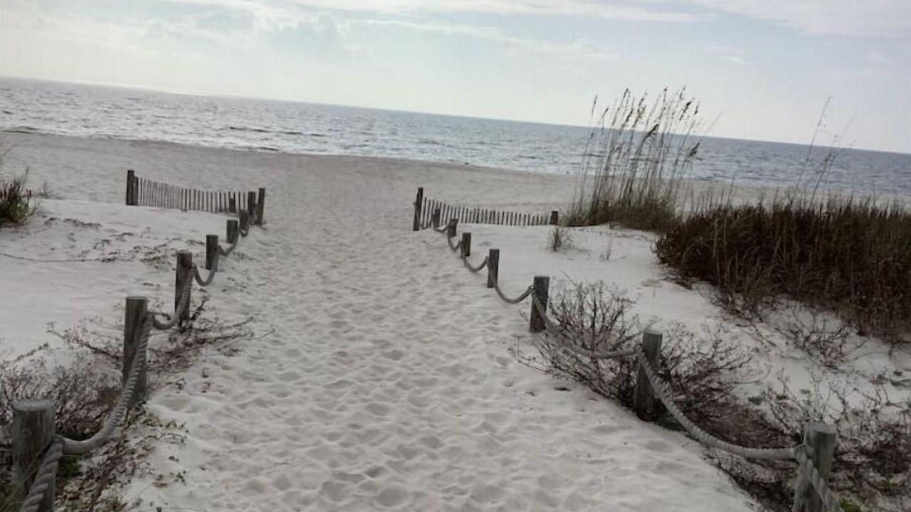 Photo of Others in Port St. Joe