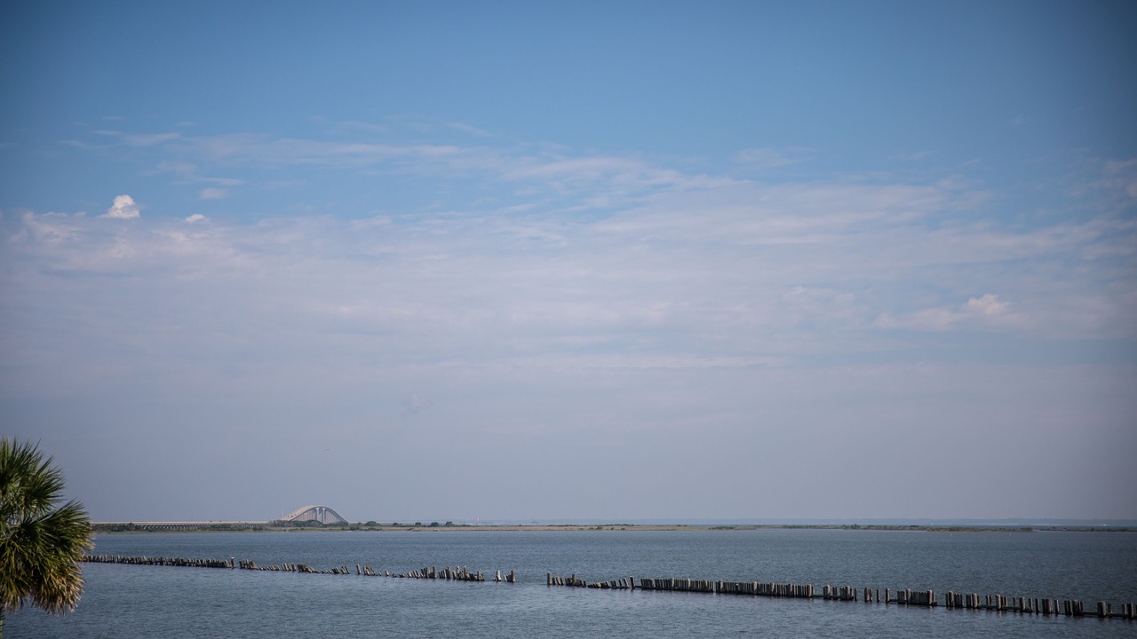 Photo of Others in Pass Chateau Harbor