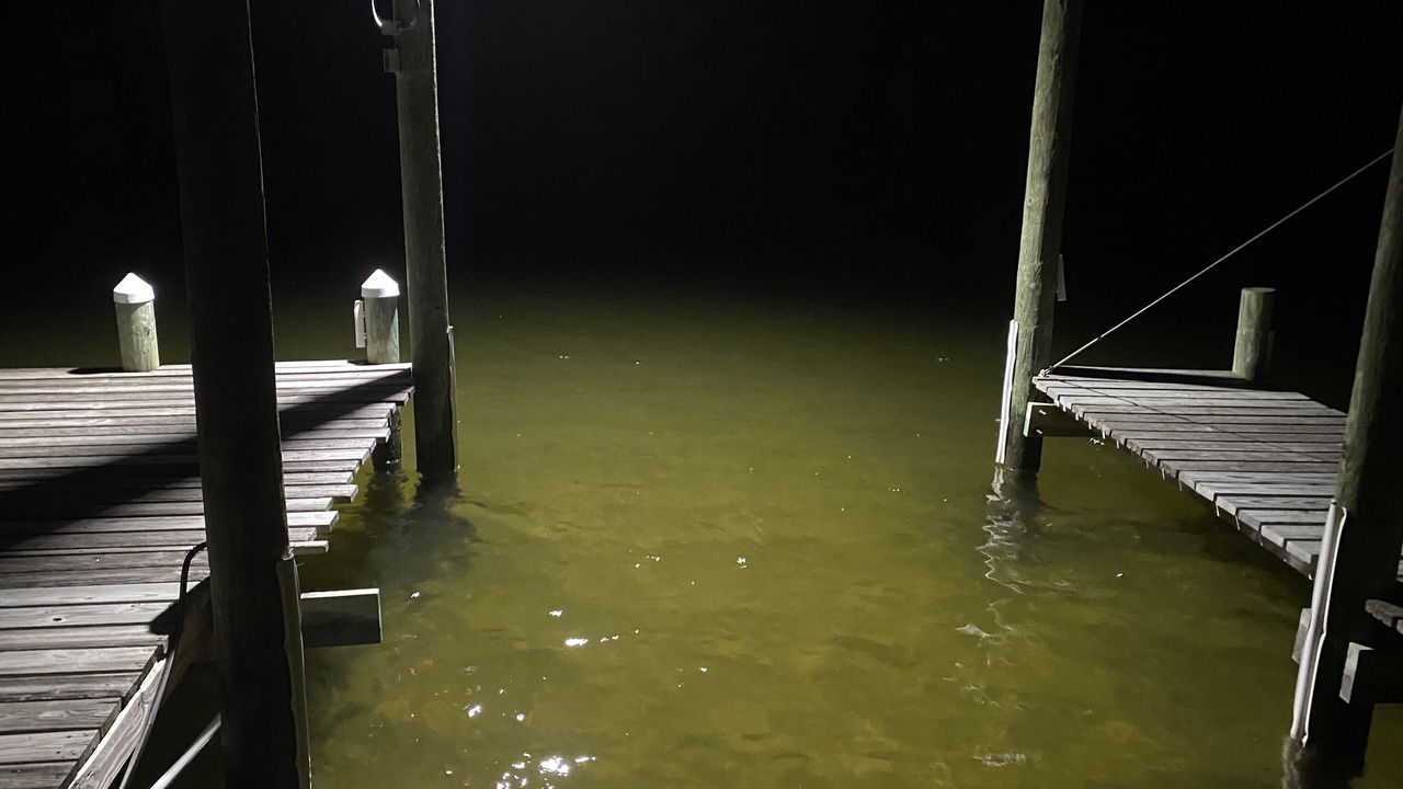 Photo of Outdoor in Mary Esther