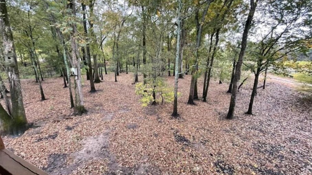 Photo of Others in De Valls Bluff