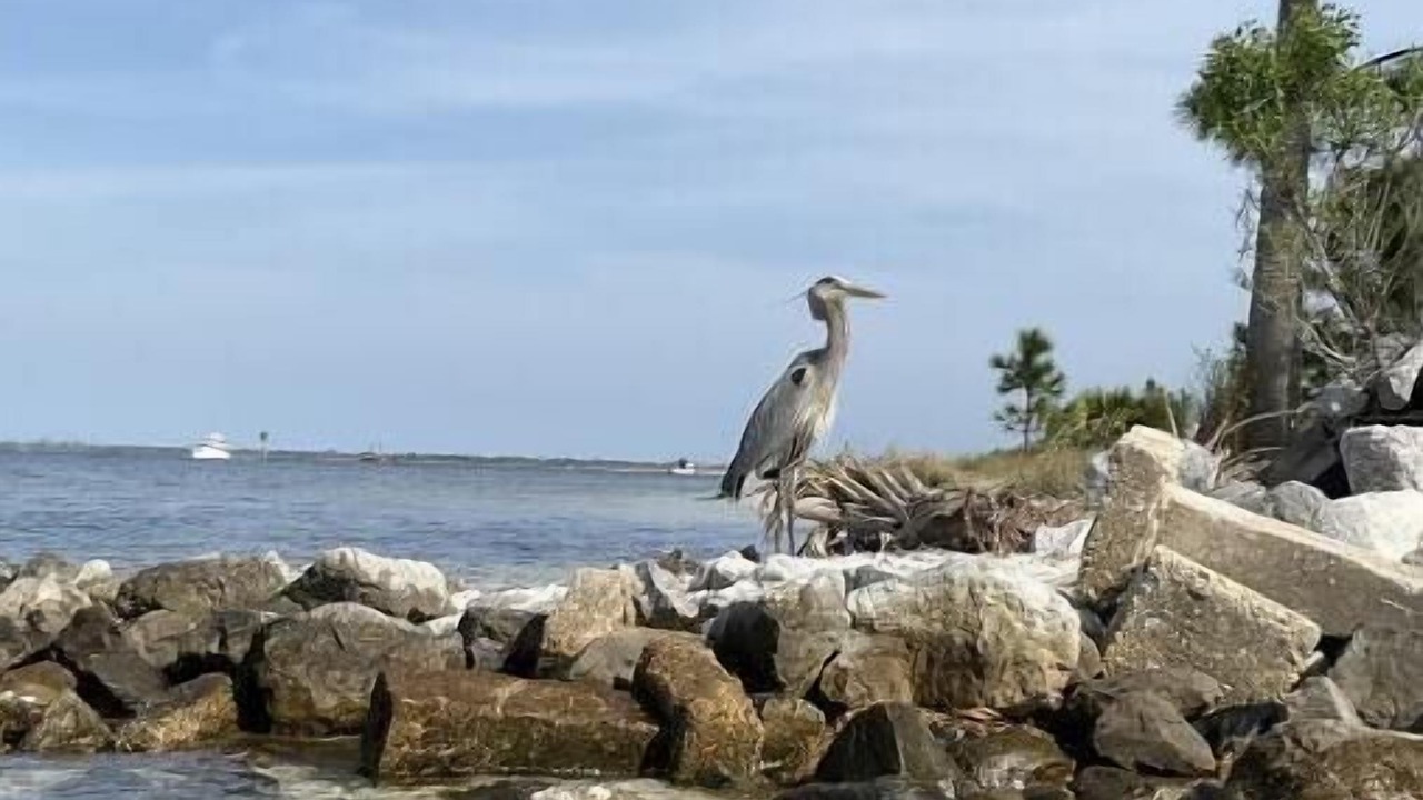 Photo of Others in Upper Grand Lagoon