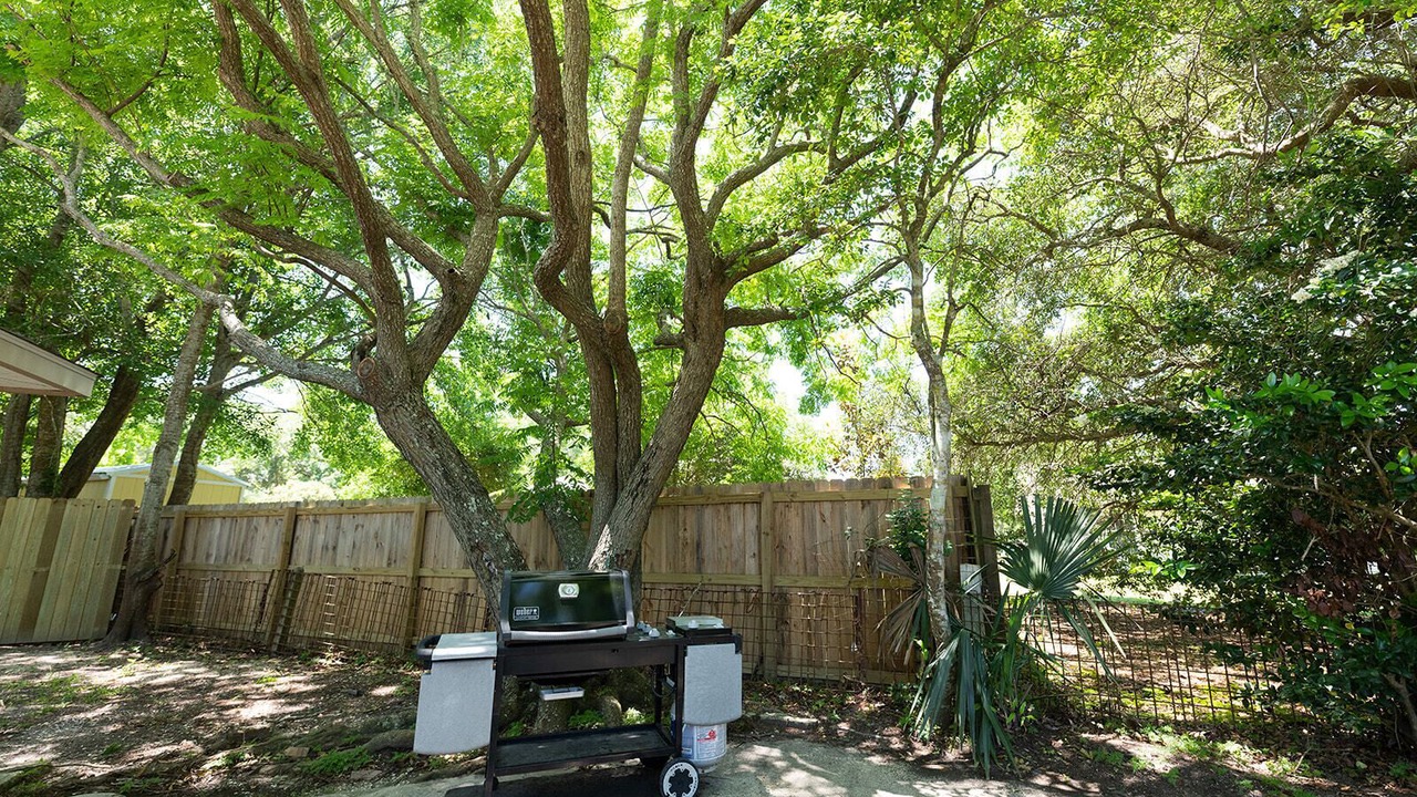 Photo of Outdoor in Waveland
